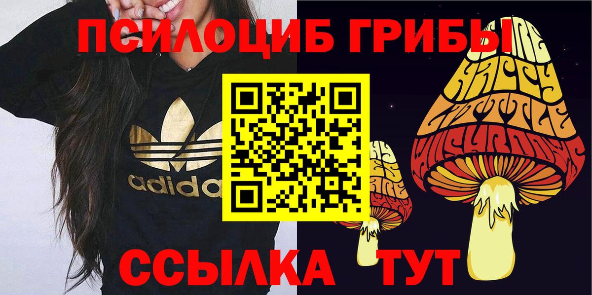 Галлюциногенные грибы MAGIC MUSHROOMS  Вход с VPN  Бирск  Галлюциногенные грибы прущие грибы 